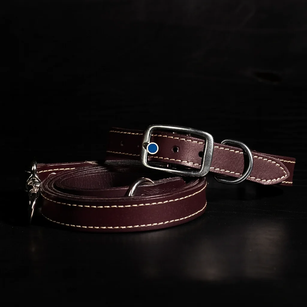 Trailblazer - Black Premium Leather Dog Leash and Collar Set - Image 8